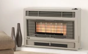 gas-heater-flued-2001