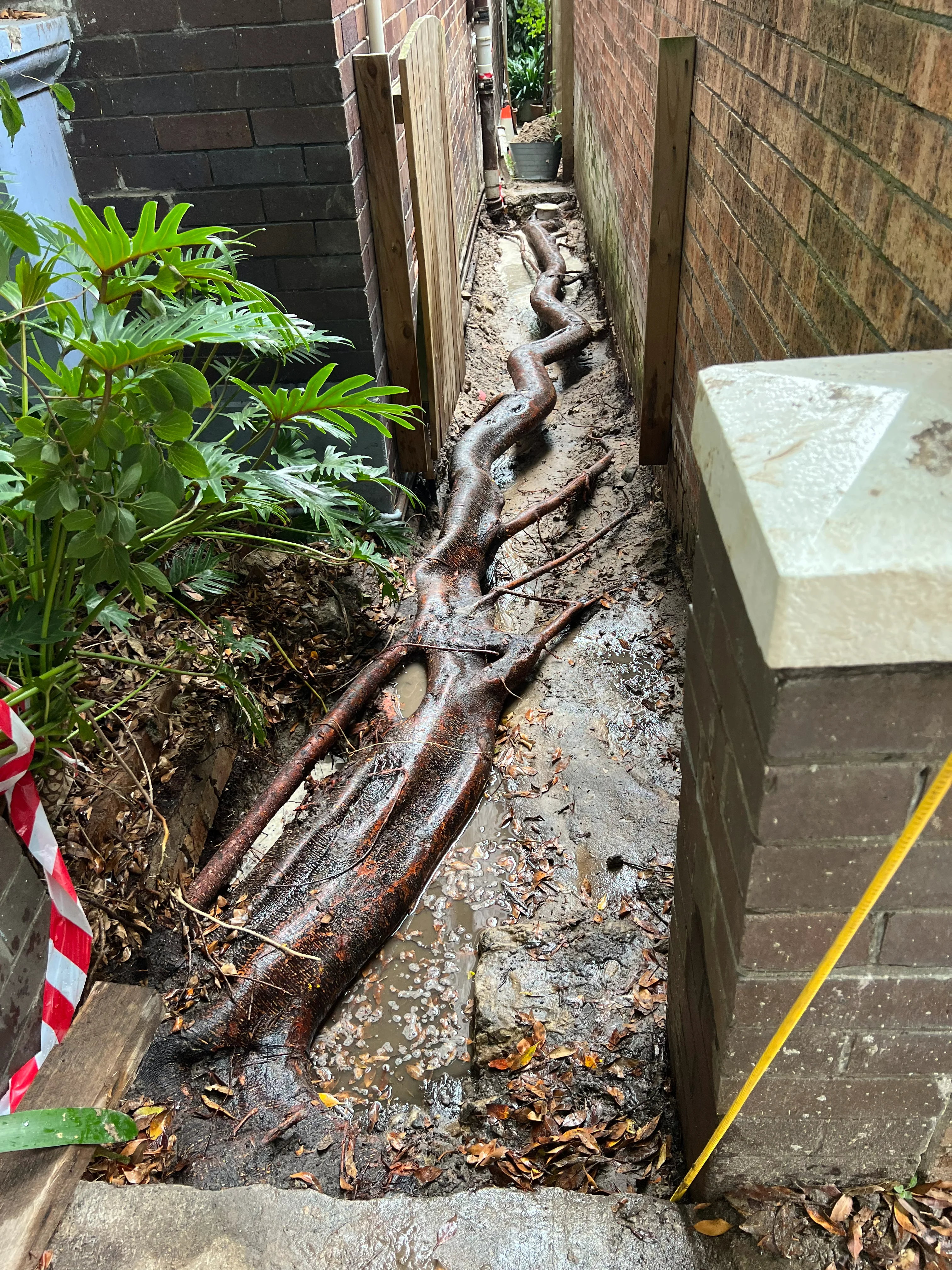Blocked Drain Bondi Beach Blocked Drain Bondi Beach